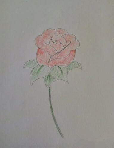 玫瑰花简笔画图片大全 玫瑰花简笔画图片大全大图简单