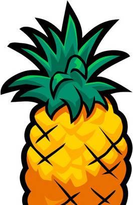 菠萝简笔画 菠萝简笔画法