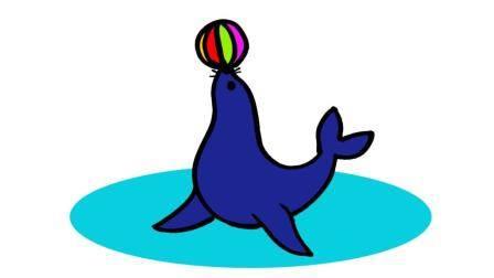 海豹简笔画 海豹简笔画图片