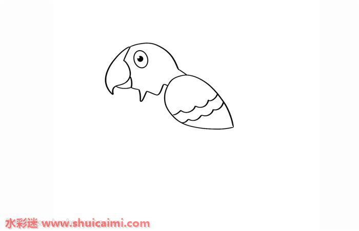 鹦鹉怎么画 鹦鹉简笔画简单好看彩色