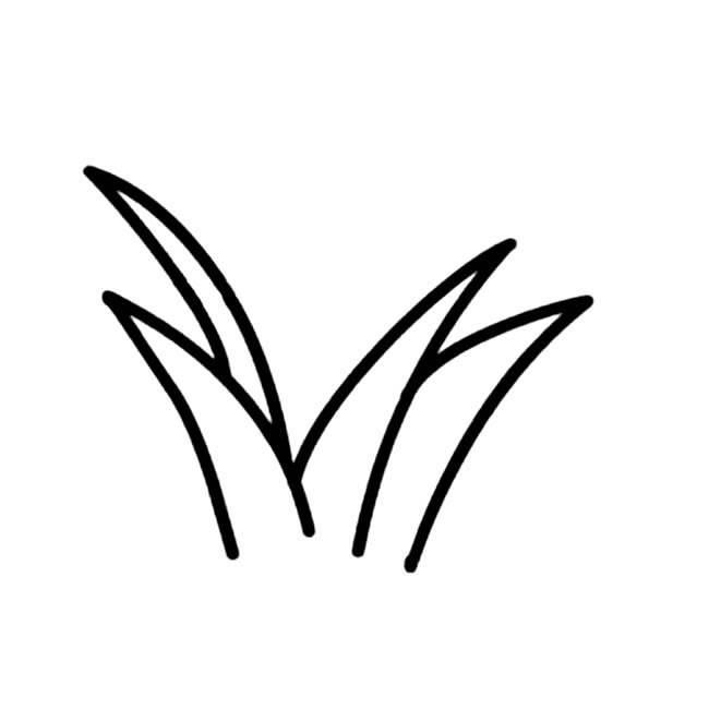 小草简笔画 小草简笔画图片大全大图