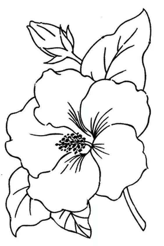 花卉简笔画图片大全 花卉简笔画图片大全大图彩色
