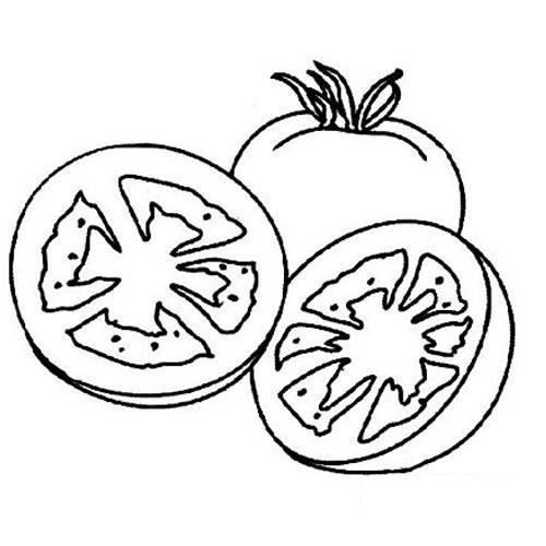 番茄简笔画 番茄简笔画图片画法