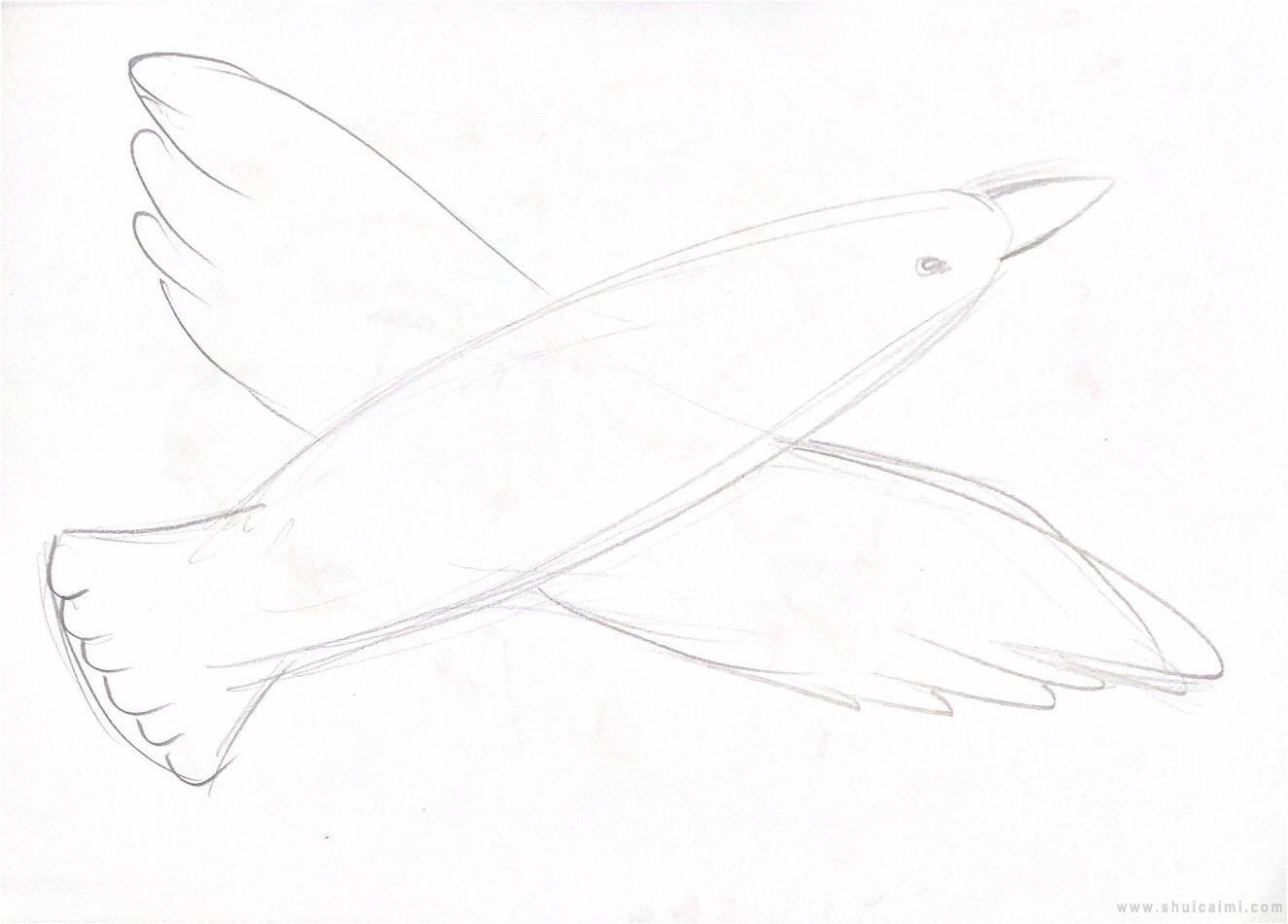 海燕简笔画怎么画 海燕简笔画顺序