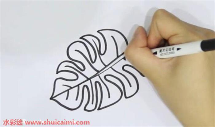 龟背竹怎么画 龟背竹简笔画画法