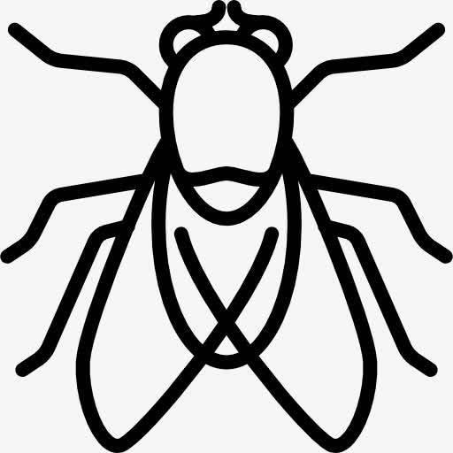 苍蝇简笔画 苍蝇简笔画彩色