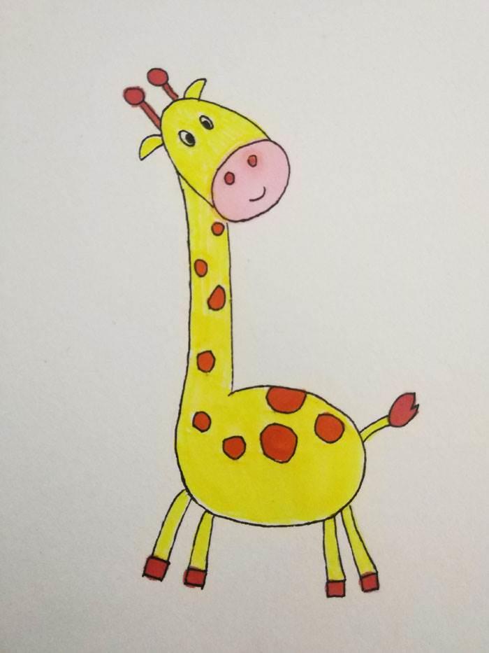 简笔画长颈鹿 简笔画长颈鹿彩色