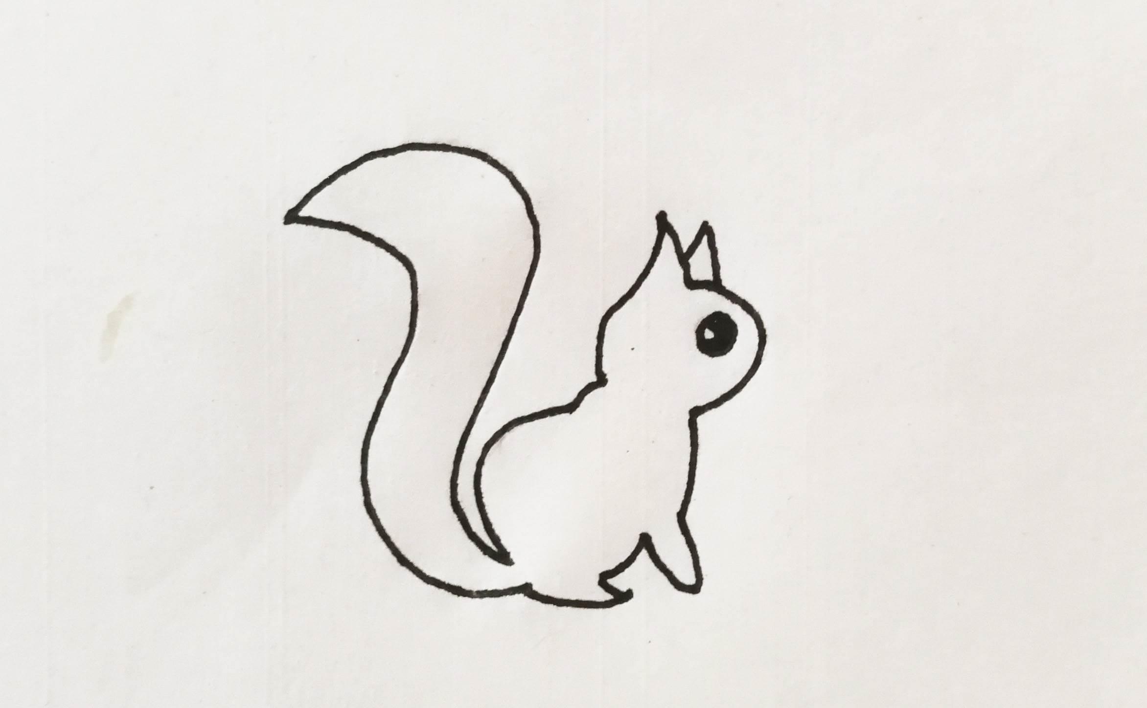 松鼠的简笔画 松鼠的简笔画怎么画