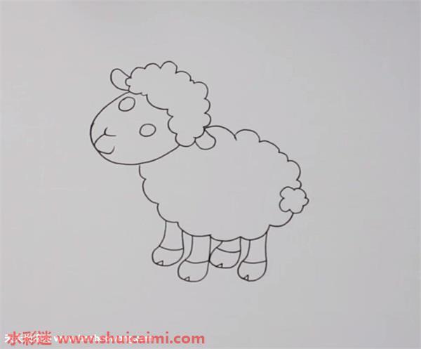绵羊怎么画 绵羊简笔画步骤图