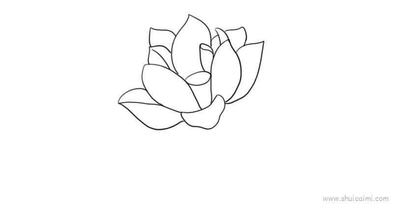 荷花儿童画怎么画 荷花简笔画顺序