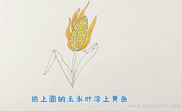 玉米简笔画怎么画 玉米简笔画图片