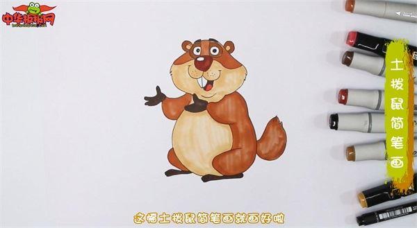 土拨鼠怎么画 土拨鼠简笔画简单易画彩色