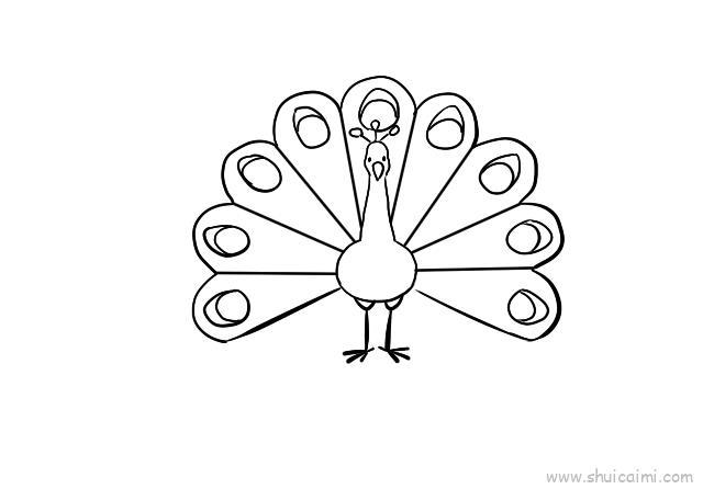 孔雀开屏儿童画怎么画 孔雀开屏简笔画步骤