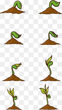 种子简笔画 种子简笔画豆子