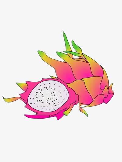 火龙果简笔画 火龙果简笔画图片带颜色