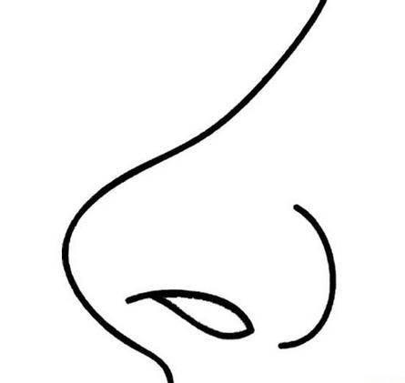鼻子 简笔画 鼻子简笔画彩色