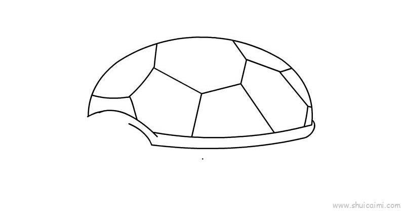 乌龟儿童画怎么画 乌龟简笔画图片大全