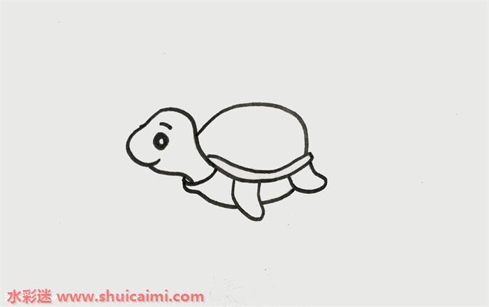 海龟怎么画 海龟简笔画漂亮彩色
