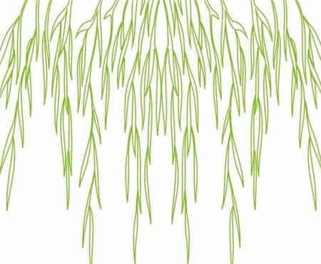 柳树简笔画 柳树简笔画图片带颜色