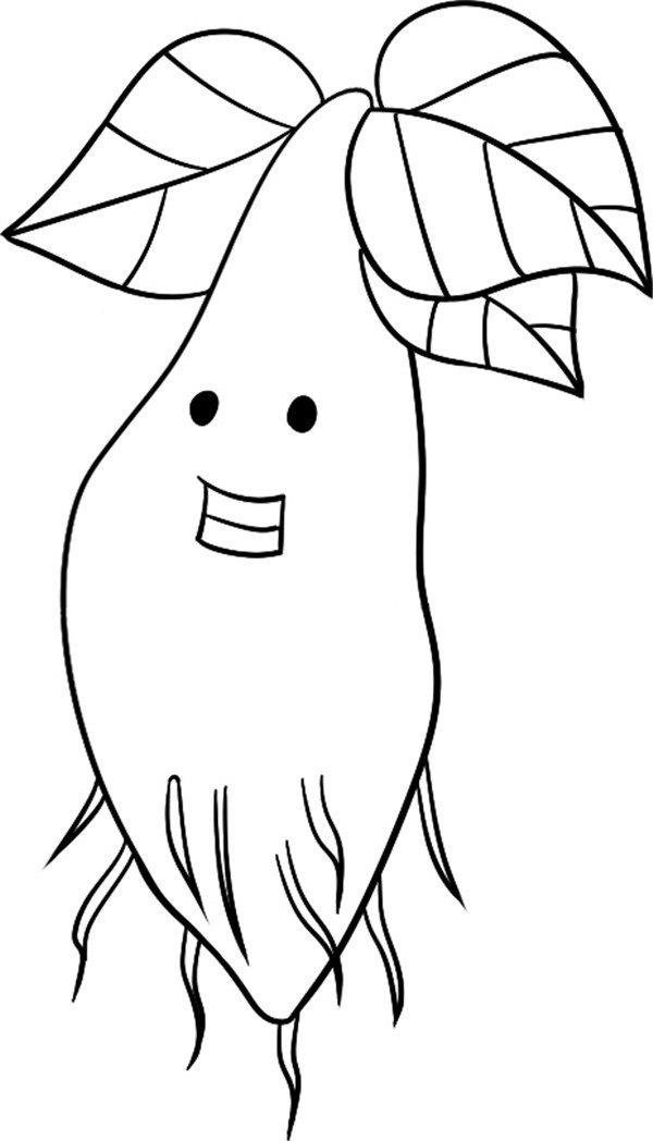 幼嫩的小树的简笔画怎么画 幼嫩的小树简笔画顺序