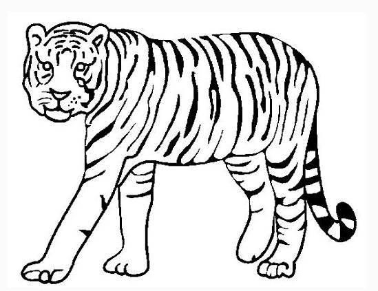 画老虎简笔画图片大全 画老虎简笔画图片大全可爱