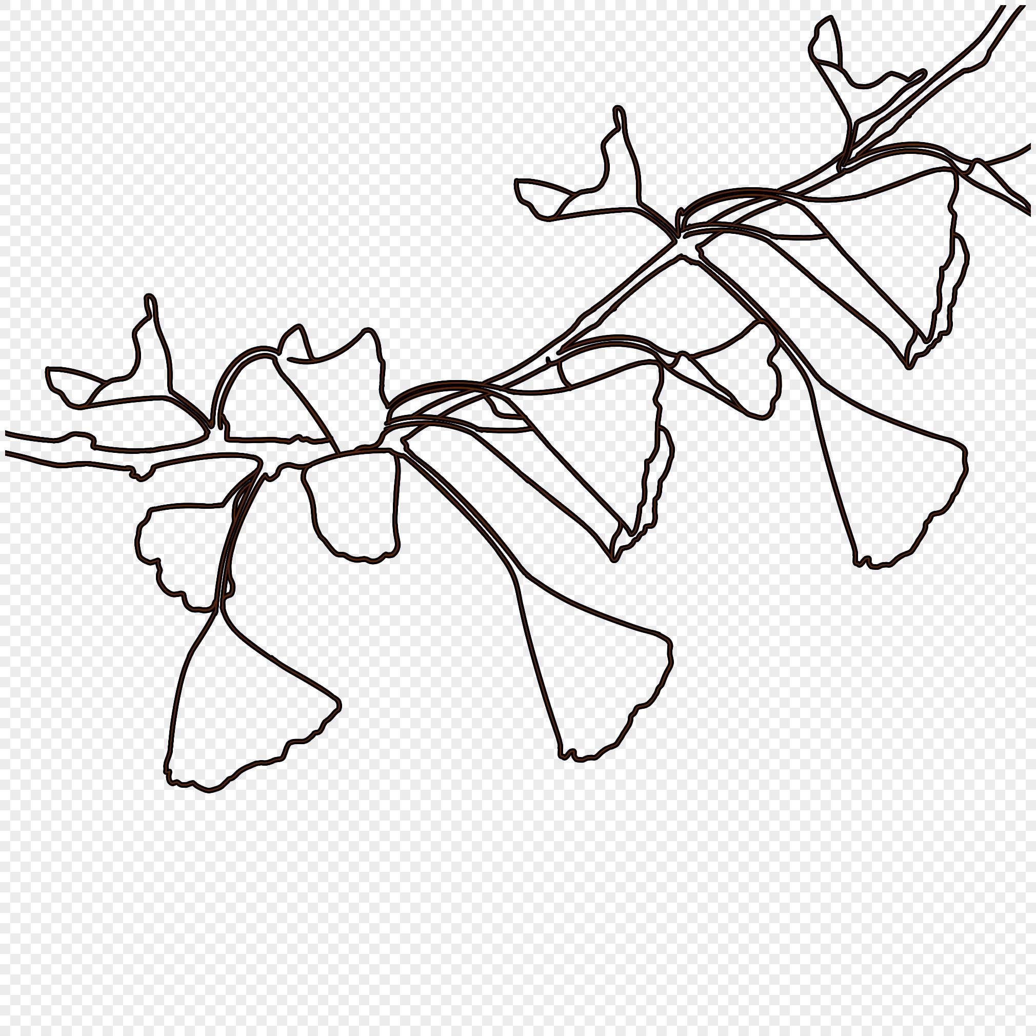 银杏简笔画图片大全 银杏简笔画图片大全可爱