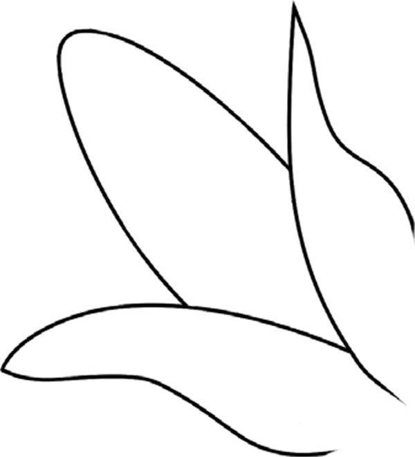 香甜的玉米简笔画怎么画 香甜的玉米简笔画画法