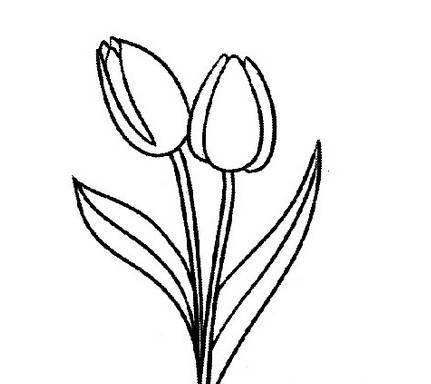 植物简笔画 植物简笔画大全花草树木
