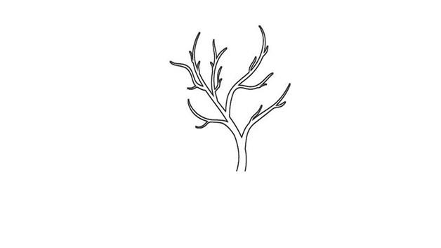 树干简笔画怎么画 树干简笔画步骤