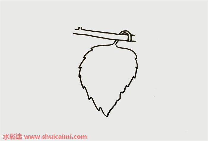 桑叶怎么画 桑叶简笔画简单易画彩色