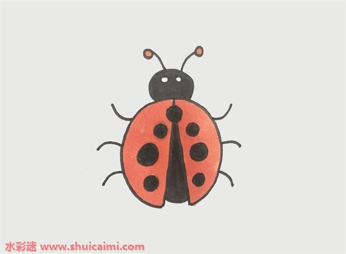 瓢虫怎么画 瓢虫简笔画简单又漂亮彩色