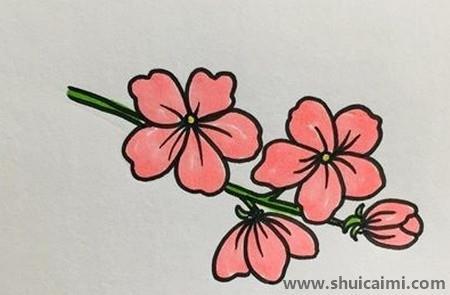 简单的桃花简笔画教程步骤