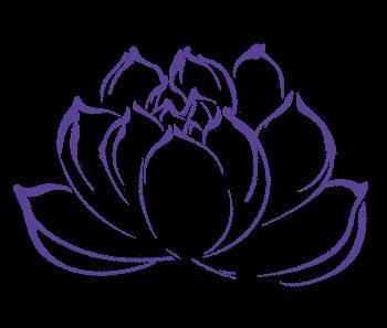 雪莲花简笔画 雪莲花简笔画图片大全