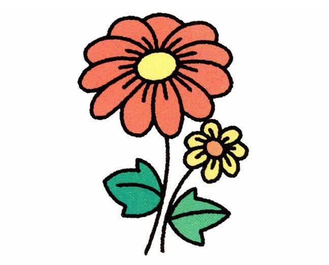 菊花的简笔画 菊花的简笔画图片