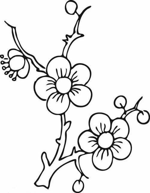 初中简笔画简单漂亮 初中简笔画简单漂亮图片大全