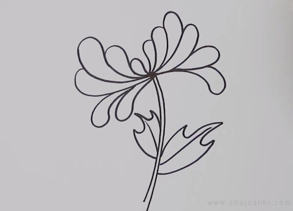 菊花简笔画怎么画 菊花简笔画好看