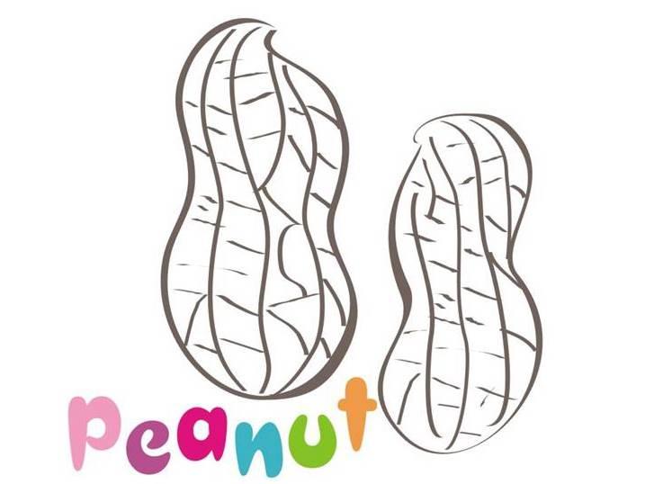 花生简笔画 花生简笔画简单又好看