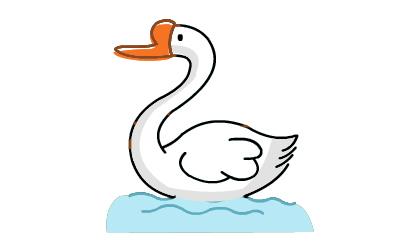 天鹅画法 简笔画_天鹅简单画