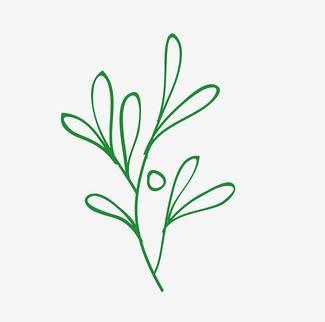 简笔画小草 简笔画小草图片大全