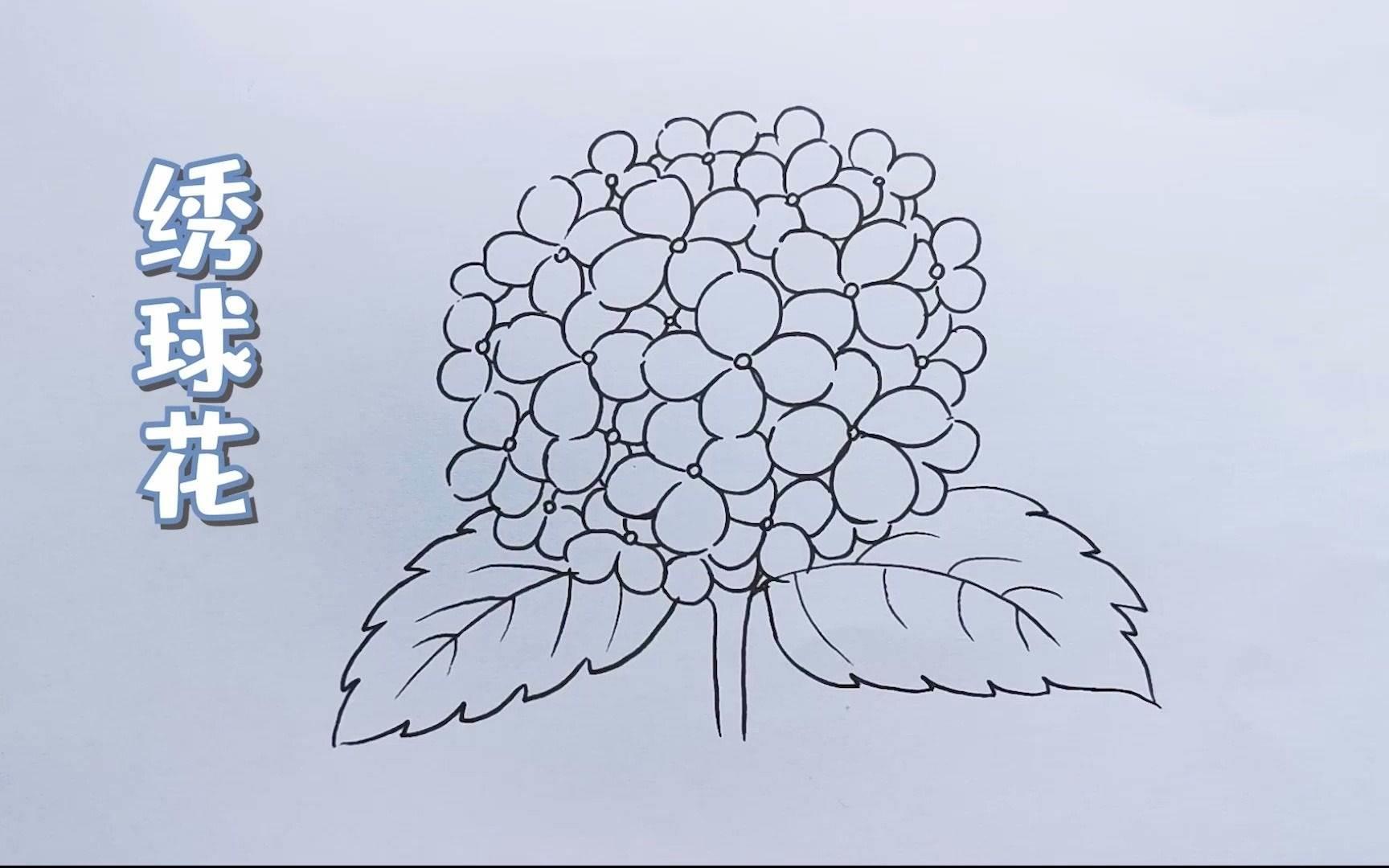 三月三绣球简笔画 三月三绣球简笔画大全彩色
