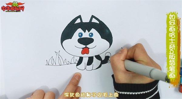 哈士奇q版怎么画 哈士奇q版简笔画图片带颜色