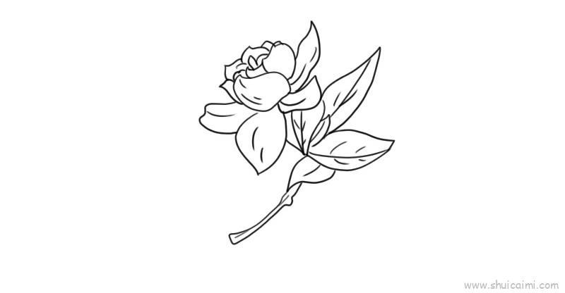 栀子花儿童画怎么画 栀子花简笔画画法