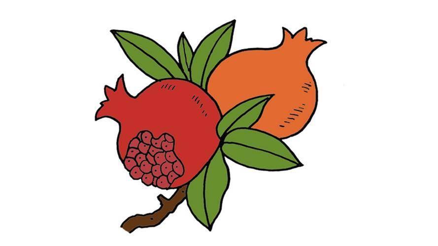 石榴花简笔画图片大全 石榴花简笔画图片大全带颜色