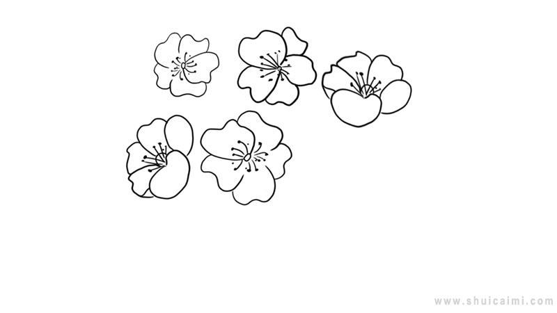 梨花简笔画怎么画 梨花简笔画图片大全