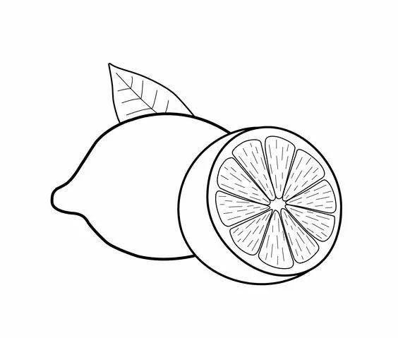 大班简笔画 大班简笔画图片涂色