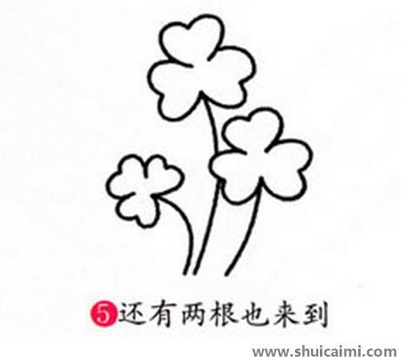 三叶草儿童简笔画