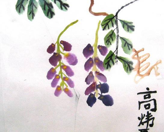 紫藤萝简笔画 紫藤萝简笔画简单又好看