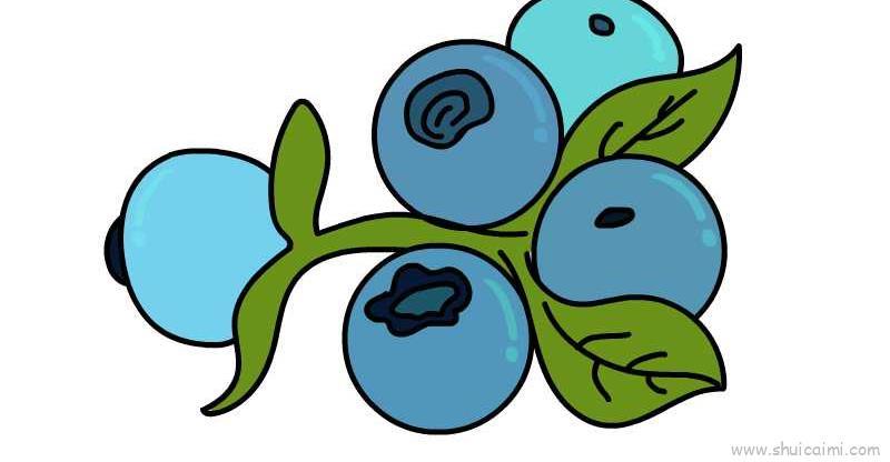 蓝莓儿童画怎么画 蓝莓简笔画顺序