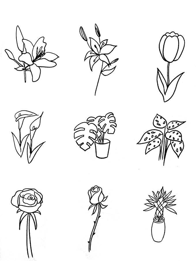 植物图片简笔画 本草纲目植物图片简笔画