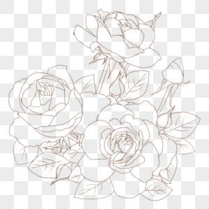 月季花简笔画图片大全 月季花简笔画图片大全大图